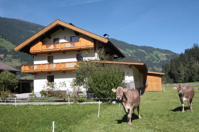 Gaestehaus Hauser Apartment